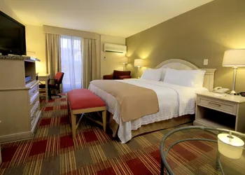Holiday Inn Monclova by IHG hotel thumbnail 8