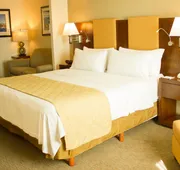 Holiday Inn Hotel & Suites Hermosillo Aeropuerto by IHG hotel detail image 7