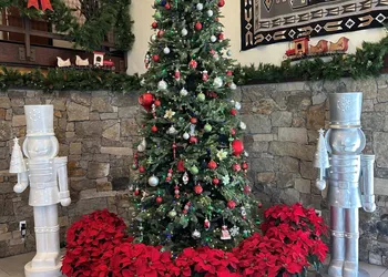 Red Feather Lodge hotel thumbnail 5