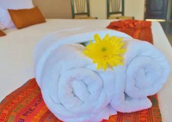 Hacienda Morelos Beach Front Hotel hotel thumbnail 4