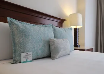 Pierre Mundo Imperial hotel thumbnail 5
