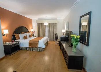 Hotel Plaza de Oro hotel thumbnail 6