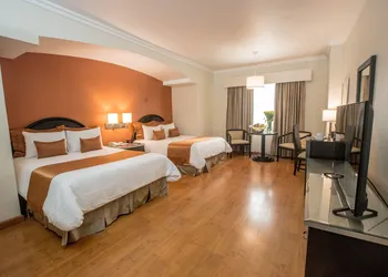 Hotel Plaza de Oro hotel thumbnail 7