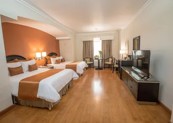 Hotel Plaza de Oro hotel thumbnail 8