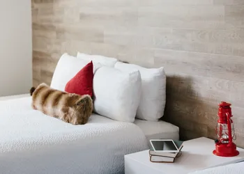 Elk + Avenue Hotel hotel thumbnail 6