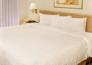 Travo Hotel Monterrey Histórico hotel thumbnail 3