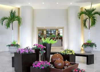Hotel Terranova hotel thumbnail 2