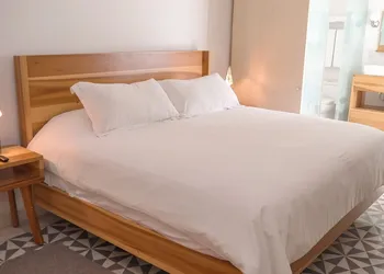 Hotel Casa Nuevo Leon hotel thumbnail 7
