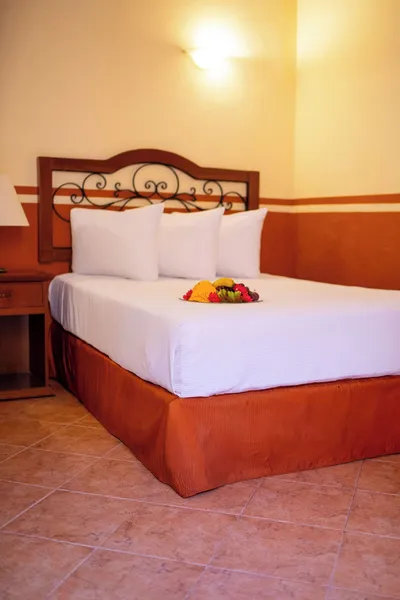 Hotel Maya Campeche hotel detail image 6