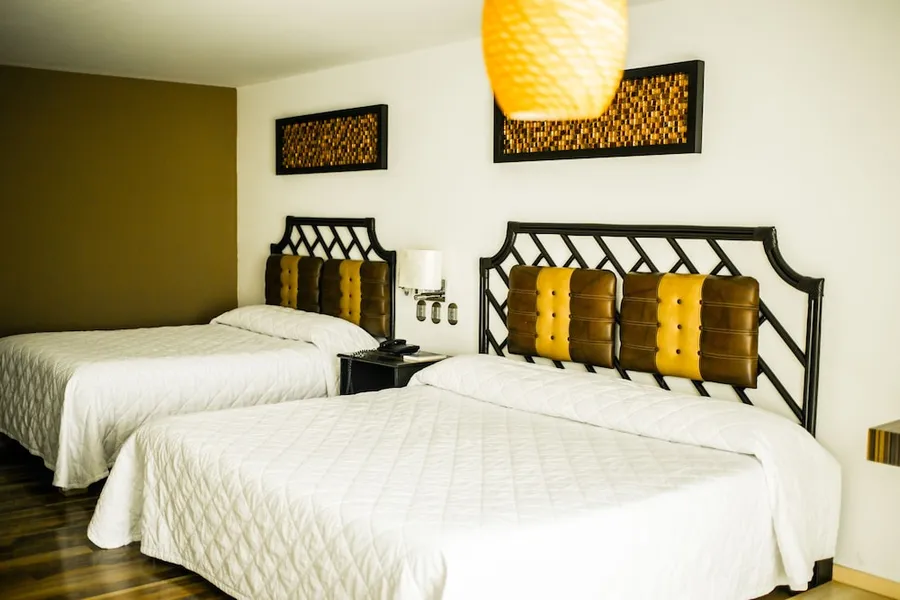 Hotel María Dolores San Luis Potosí hotel detail image 6