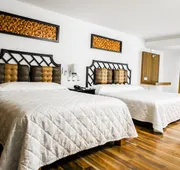 Hotel María Dolores San Luis Potosí hotel detail image 7