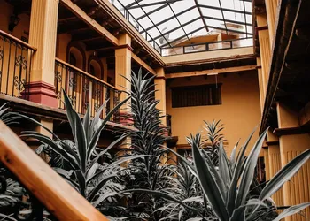 Hotel Diego de Mazariegos hotel thumbnail 8