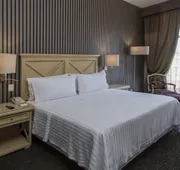 Holiday Inn Queretaro-Centro Historico by IHG hotel detail image 4