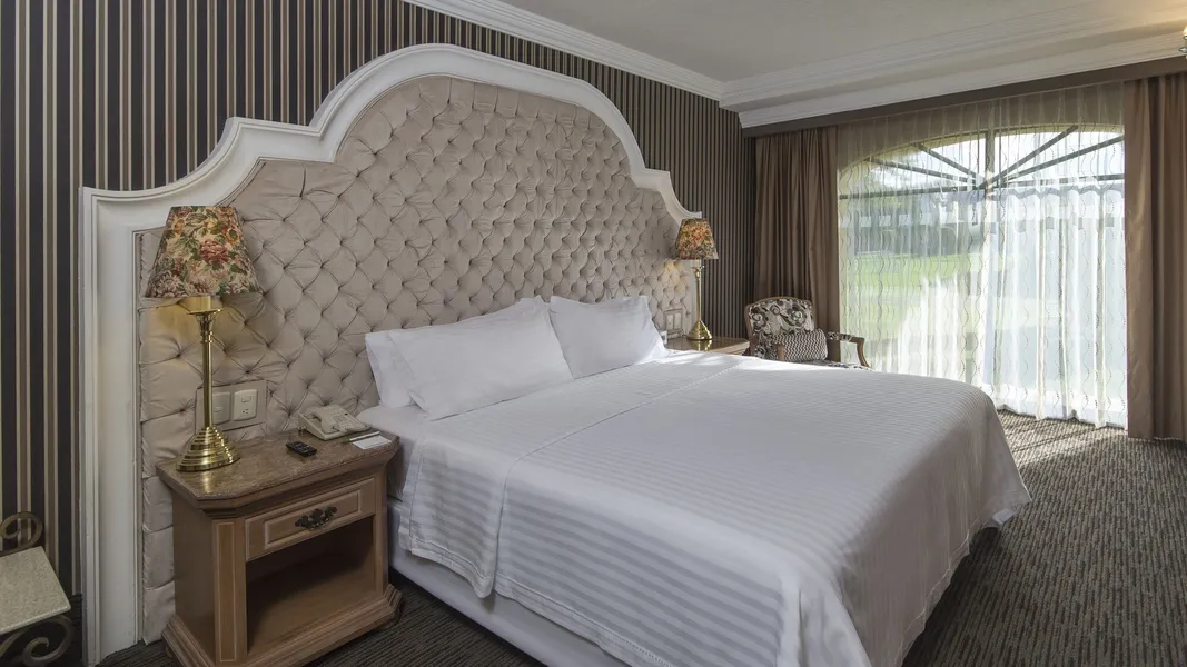 Holiday Inn Queretaro-Centro Historico by IHG hotel detail image 6
