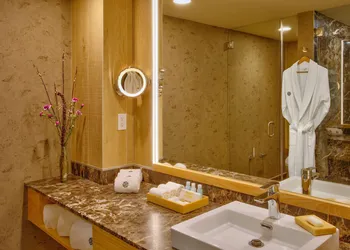 Galeria Plaza Irapuato hotel thumbnail 6
