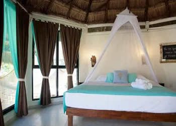 Punta Piedra Beach Posada hotel thumbnail 7