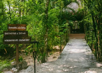 Piedra de Agua Hotel Boutique Palenque hotel thumbnail 3