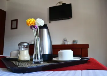 Hotel Campestre Inn hotel thumbnail 4