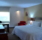 Holiday Inn Select - Guadalajara by IHG hotel detail image 7