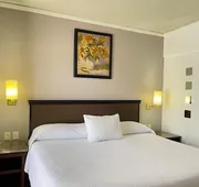 Hotel Arroyo de la Plata hotel detail image 3