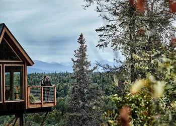 Mt. McKinley Princess Wilderness Lodge hotel thumbnail 6