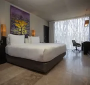 Courtyard by Marriott Veracruz Tuxpan hotel detail image 5