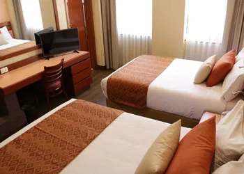 Hotel Marlowe Centro Histórico hotel thumbnail 8