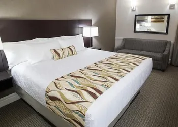 University Inn hotel thumbnail 4
