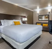 University Inn hotel detail image 5