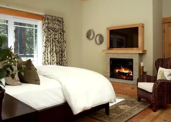The Grand Idyllwild Lodge hotel thumbnail 5
