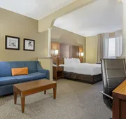 Comfort Suites Houston NW - Vintage Park hotel detail image 7