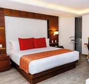 JF Grand Puebla hotel detail image 4