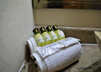 12 Bees Hotel hotel thumbnail 5