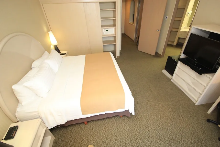 Holiday Inn Leon - Poliforum by IHG hotel detail image 6
