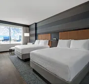 Holiday Inn Express Houston - Galleria Area by IHG hotel detail image 5