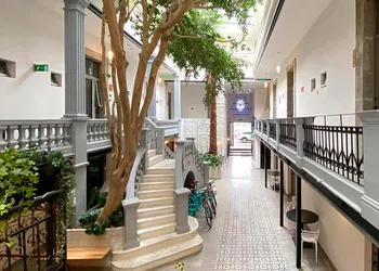 Hotel MX condesa CDMX, Trademark Collection by Wyndham hotel thumbnail 6