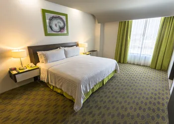 Holiday Inn Queretaro Zona Krystal by IHG hotel thumbnail 5