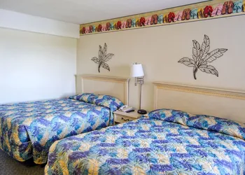Palms Resort hotel thumbnail 2