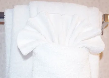 Palms Resort hotel thumbnail 6