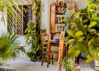 Zomay Beachfront Hotel Holbox hotel thumbnail 3