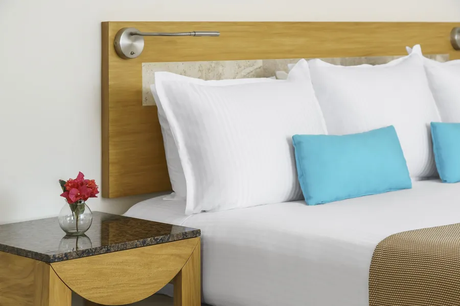 The Reef Playacar Beach Resort & Spa hotel detail image 6