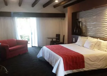 Radisson Hotel Tapatio Guadalajara hotel thumbnail 8