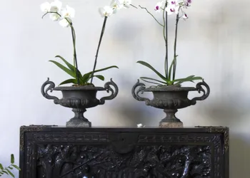 Kunuk Hotel Boutique hotel thumbnail 6