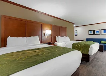 Comfort Suites West Monroe near Ike Hamilton Expo Center hotel thumbnail 6