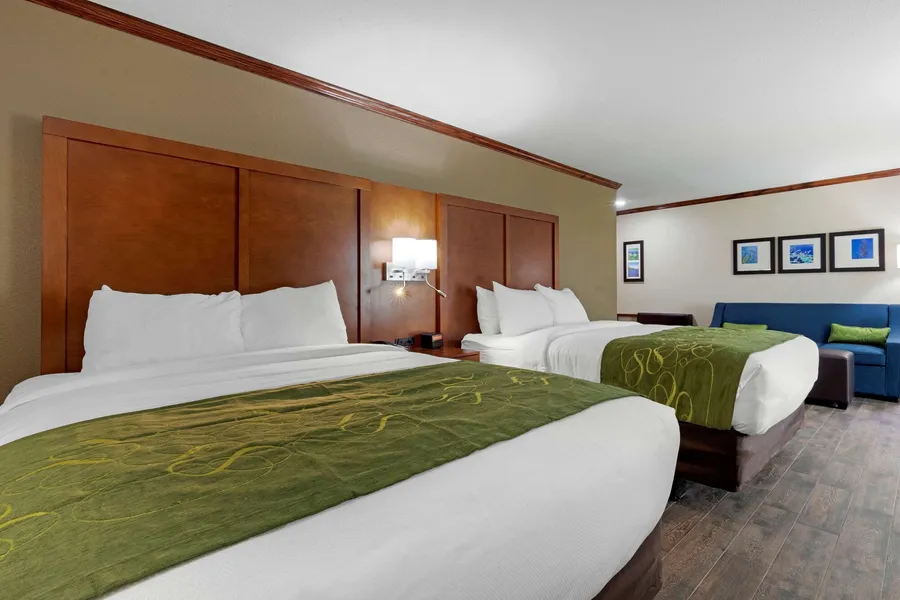 Comfort Suites West Monroe near Ike Hamilton Expo Center hotel detail image 6