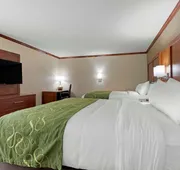 Comfort Suites West Monroe near Ike Hamilton Expo Center hotel detail image 7