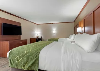 Comfort Suites West Monroe near Ike Hamilton Expo Center hotel thumbnail 7