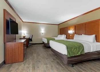 Comfort Suites West Monroe near Ike Hamilton Expo Center hotel thumbnail 8