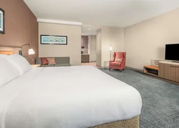 Hilton Garden Inn Chicago Central Loop hotel thumbnail 8