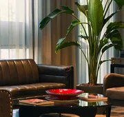 Art House Hotel and Suites hotel detail image 3